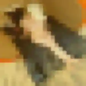 Danielle, fille de 44 ans cherche rencontre cougar à Grézillac