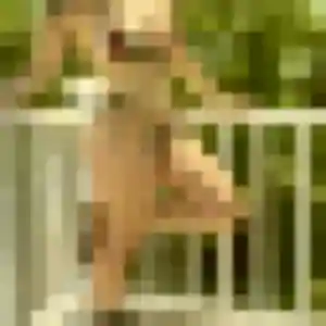 Lucette, 46 ans, disponible à Grues pour un rencontre cougar