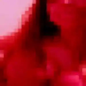 Photo de Christine à Guilherand-Granges (36 ans) - rencontre cougar anonyme