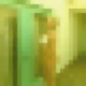 Sexy Janine, 55 ans à Guissény - la contacter