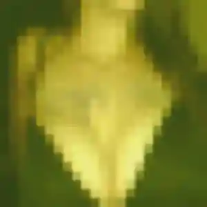 Severine, 42 ans, disponible à Guitalens-L'Albarède pour une rencontre coquine