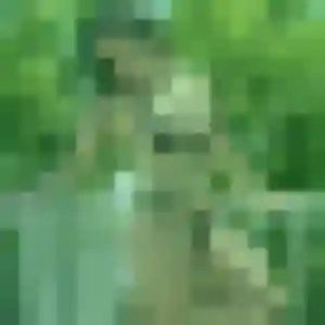 Lucette, 52 ans, connectée à Gumbrechtshoffen pour un rencontre cougar