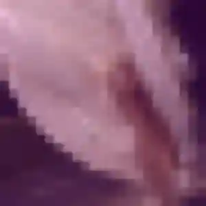 rencontre cougar à Hamel : profil de Dominique, 41 ans - inscription gratuite