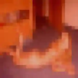 Karine, femme de 43 ans cherche rencontre cougar à Hasparren
