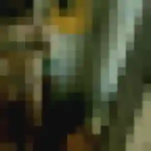 Photo privée de Caroline, 40 ans à Heiteren - rencontre sans lendemain