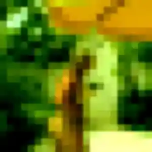 Beatrice, fille de 39 ans veut rencontre cougar à Hesdin-l'Abbé