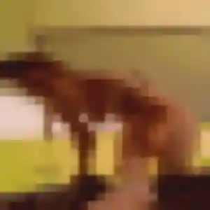 Photo de Elisabeth à Huriel (47 ans) - rencontre cougar sans inscription