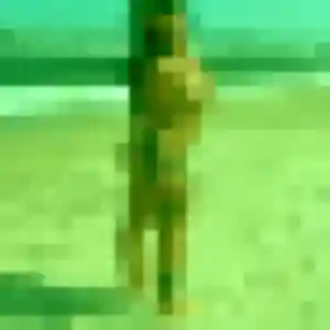 Photo de Viviane à Illtal (35 ans) - rencontre cougar anonyme