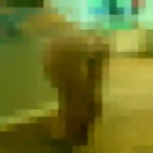 Christelle (42 ans) à Issoire propose une rencontre maintenant