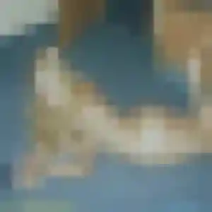 Karine de Istres, 41 ans - rencontre cougar discret