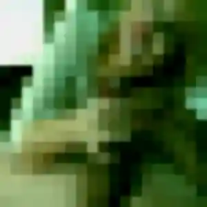 Elisabeth, 52 ans, en ligne à Jungholtz pour une rencontre coquine