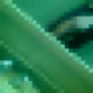 Photo de Valerie à Kalhausen (48 ans) - rencontre cougar anonyme