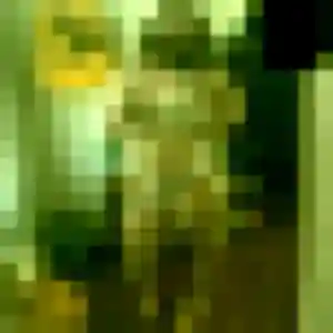 Caroline, 39 ans, connectée à Kerlouan pour une rencontre coquine