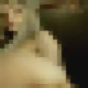 Regine, femme de 40 ans cherche rencontre cougar à Kintzheim