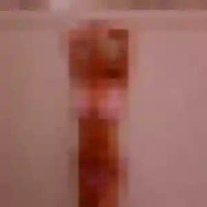 Photo de Paulette à La Baume-d'Hostun (54 ans) - rencontre cougar anonyme