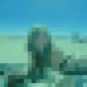Profil de Sandrine à La Baume-d'Hostun (55 ans) - rencontre cougar anonyme
