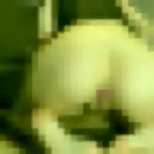 Catherine, 53 ans, dispo pour rencontre cougar à La Bruffière