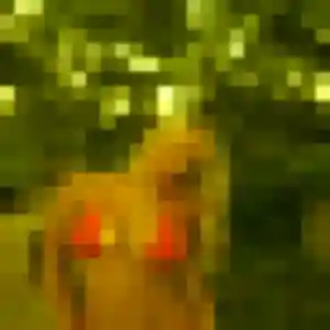 Sexy Marie-France, 48 ans à La Copechagnière - la contacter