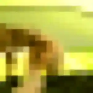 Elisabeth (46 ans) à La Courneuve propose un rencontre cougar rapidement