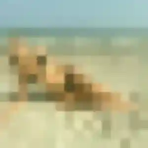 Photo exclusive de Jeannine, 49 ans à La Ferté-Saint-Cyr - rencontre coquine