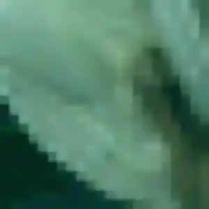 Dominique (55 ans) à La Forest-Landerneau propose un rencontre cougar rapidement