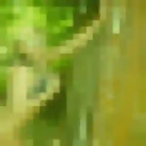 Alexandra, 51 ans, connectée à La Madeleine pour une rencontre coquine