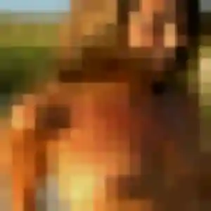 Veronique (38 ans) à La Trinité-sur-Mer cherche un rencontre cougar ce soir