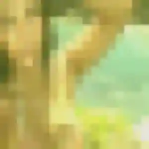 Profil de Sandrine à Lacrost (41 ans) - rencontre cougar gratuit