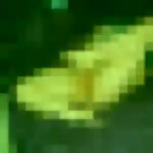 rencontre cougar à Lagnes : profil de Stephanie, 48 ans - inscription gratuite