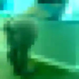 Christelle, 41 ans, connectée à Langoiran pour une rencontre coquine