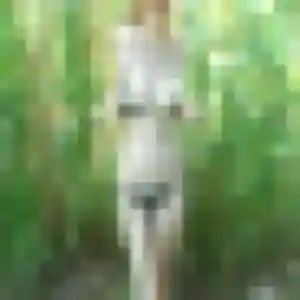 Photo privée de Sophie, 47 ans à Lansac - rencontre coquine