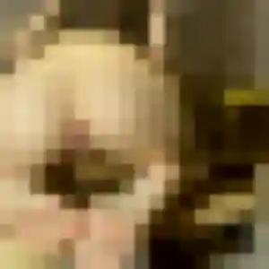 Catherine (50 ans) à Laroin cherche un rencontre cougar maintenant