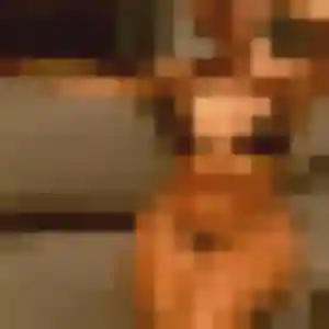 Pascale, femme de 48 ans cherche rencontre cougar à Lavardac