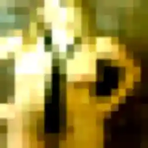 Photo exclusive de Gisele, 41 ans à Laveyron - rencontre coquine