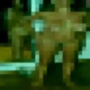 Profil de Nicole à Lavit (47 ans) - rencontre cougar gratuit