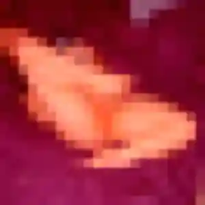 Photo privée de Stephanie, 39 ans à Lavit - rencontre sans lendemain