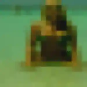 Photo de Cecile à Le Blanc-Mesnil (38 ans) - rencontre cougar discret