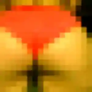Photo sexy de Christine, 43 ans à Le Bugue - plan discret