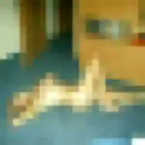 Stephanie de Le Cendre, 49 ans - rencontre cougar discret