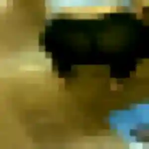 Roselyne de Le Conquet, 54 ans - rencontre cougar discret