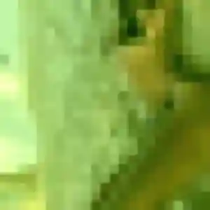 Profil de Aurelie à Le Houga (38 ans) - rencontre cougar anonyme
