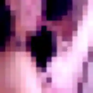 Laurence (45 ans) à Le Loroux cherche un rencontre cougar rapidement