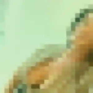 Profil de Elisabeth à Le Mêle-sur-Sarthe (35 ans) - rencontre cougar anonyme