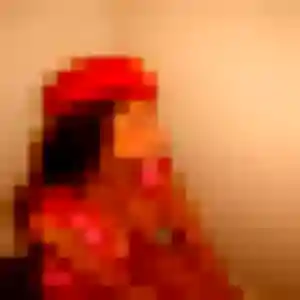 Sandrine, 39 ans, en ligne à Le Mesnil-sur-Oger pour une rencontre coquine