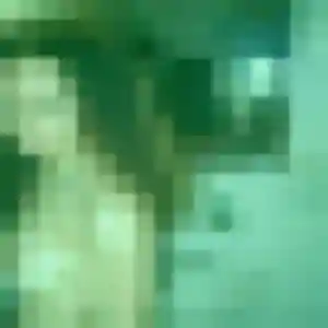 Photo perso de Lucienne, 43 ans à Le Passage - rencontre sans lendemain