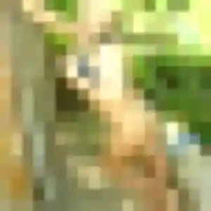 Alexandra, 47 ans, cherche un rencontre cougar à Le Perréon