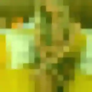 Profil de Sylvie à Lécousse (35 ans) - rencontre cougar gratuit