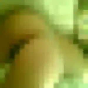 rencontre cougar à Lent : photo de Delphine, 48 ans - accès libre