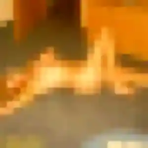Stephanie, 54 ans, veut un rencontre cougar à Léry