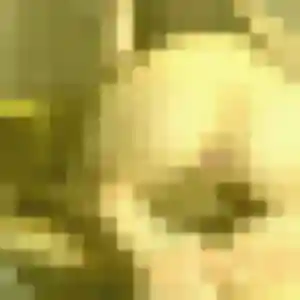 Photo exclusive de Catherine, 47 ans à Les Tourrettes - rencontre coquine